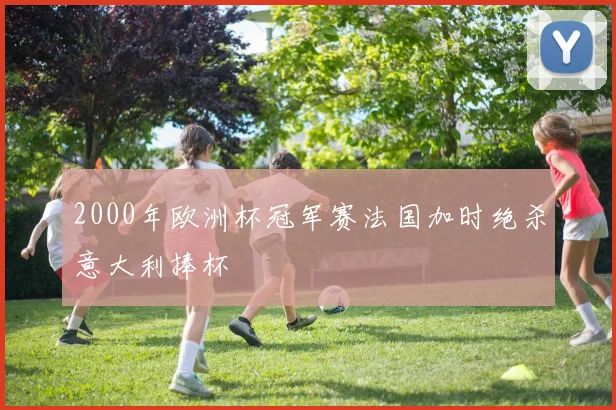 2000年欧洲杯冠军赛法国加时绝杀意大利捧杯