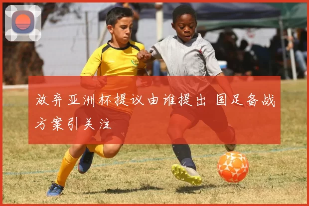 放弃亚洲杯提议由谁提出 国足备战方案引关注