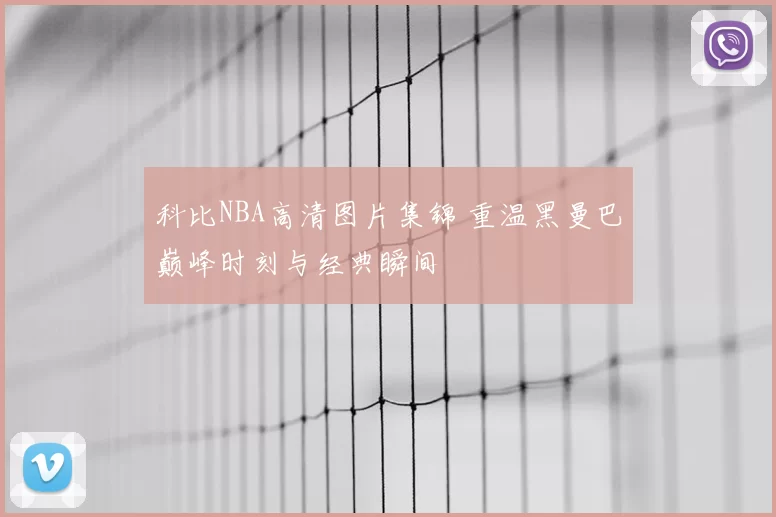 科比NBA高清图片集锦 重温黑曼巴巅峰时刻与经典瞬间