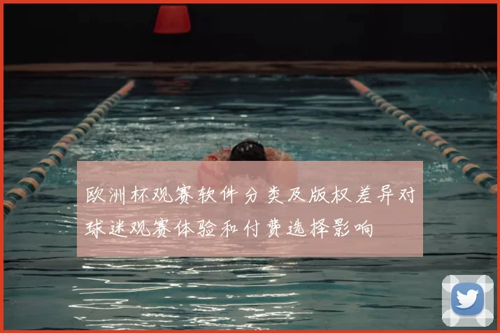 欧洲杯观赛软件分类及版权差异对球迷观赛体验和付费选择影响