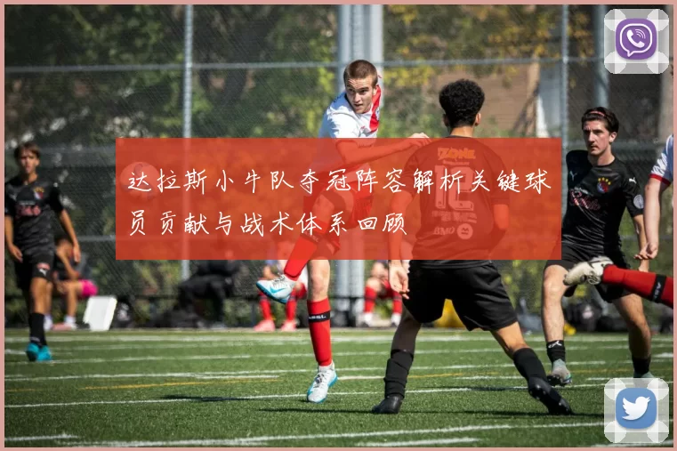 达拉斯小牛队夺冠阵容解析关键球员贡献与战术体系回顾
