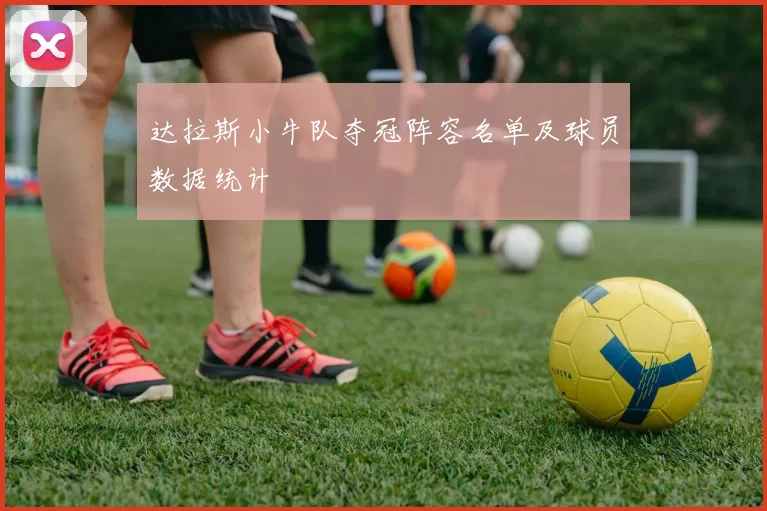 达拉斯小牛队夺冠阵容名单及球员数据统计