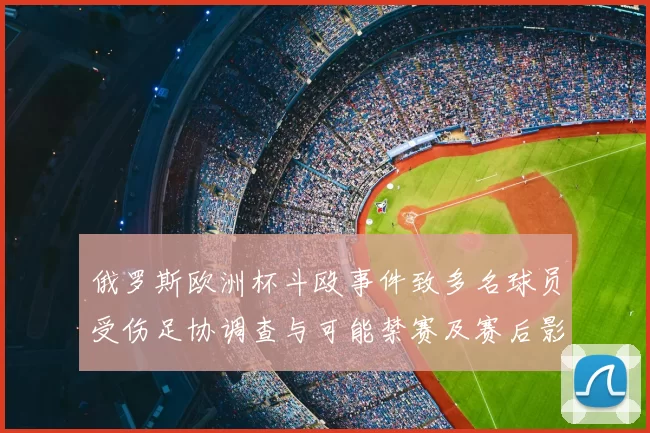 俄罗斯欧洲杯斗殴事件致多名球员受伤足协调查与可能禁赛及赛后影响评估