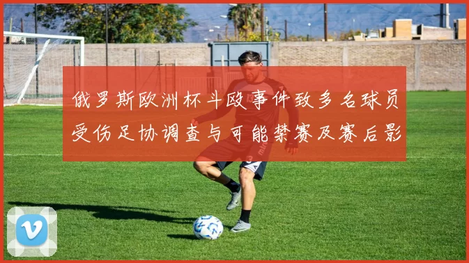 俄罗斯欧洲杯斗殴事件致多名球员受伤足协调查与可能禁赛及赛后影响评估