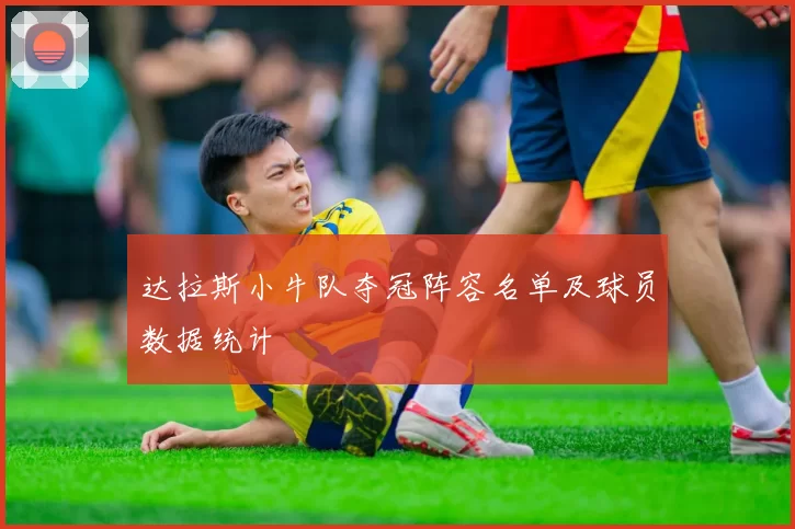 达拉斯小牛队夺冠阵容名单及球员数据统计